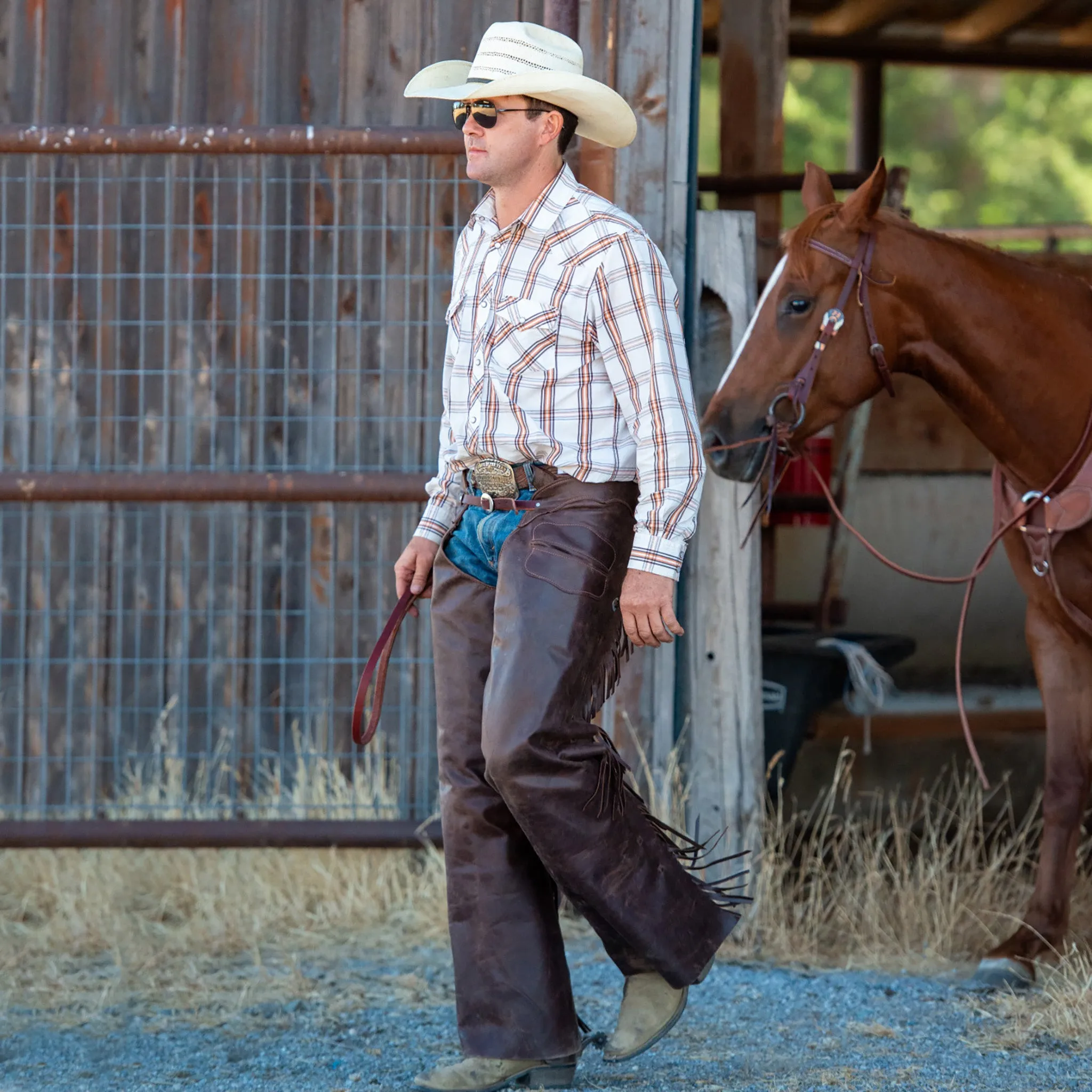 Cowboy Chaps