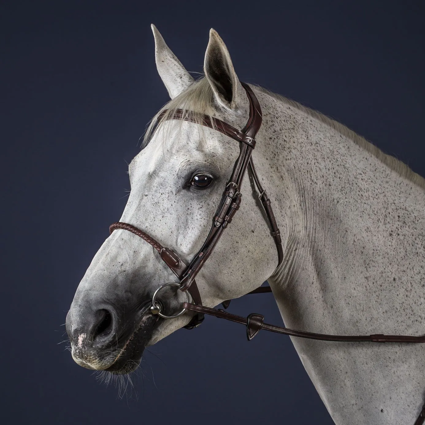 Dy'on New English Leather-Covered Rope Noseband Bridle - Brown