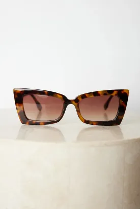 Landon | Tortoise