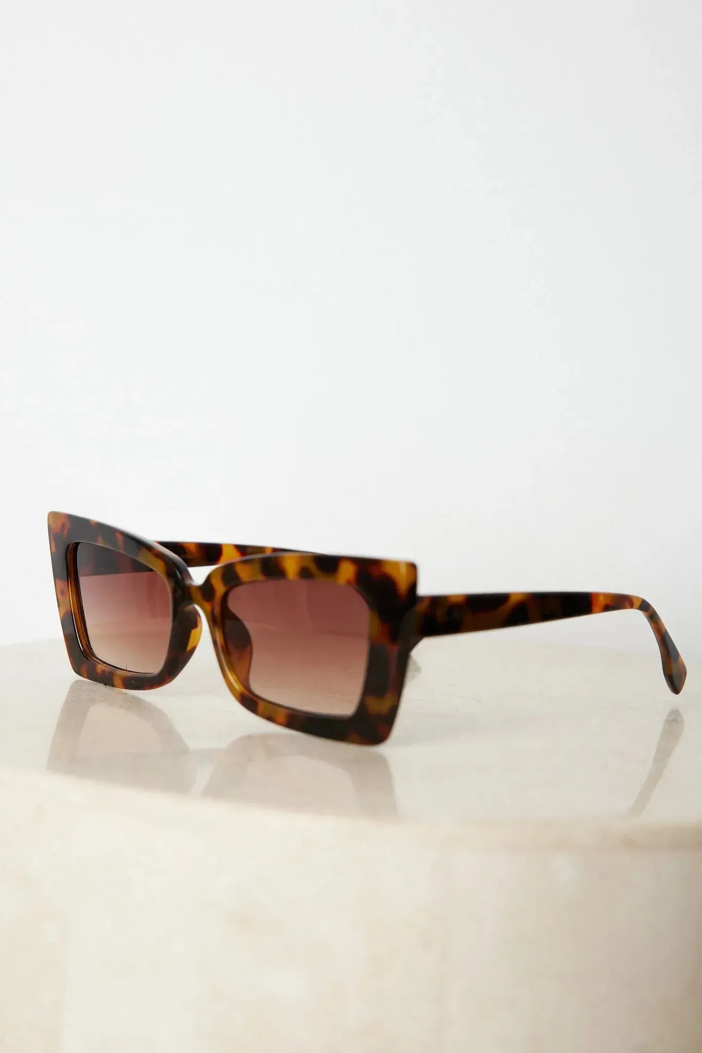 Landon | Tortoise