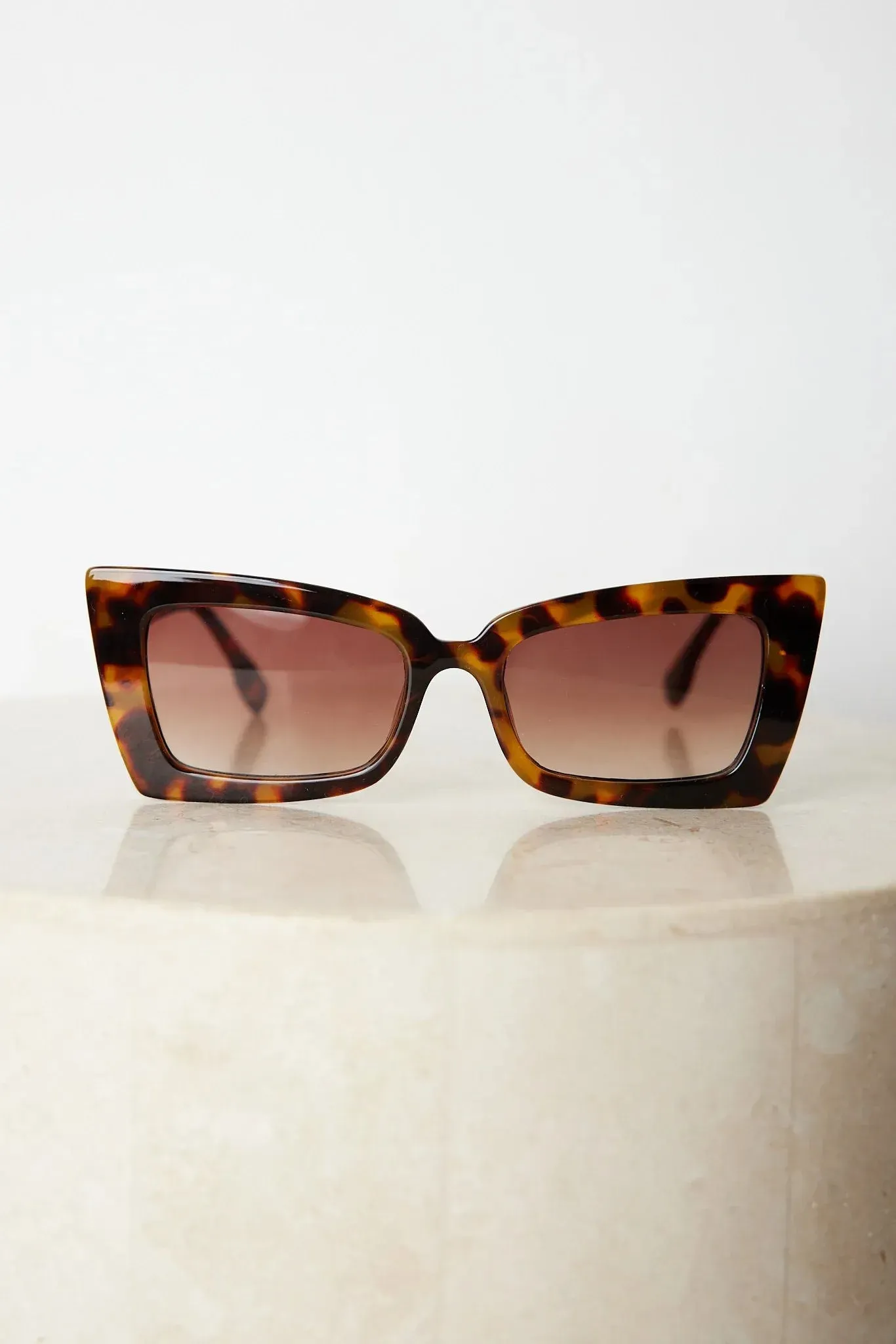 Landon | Tortoise