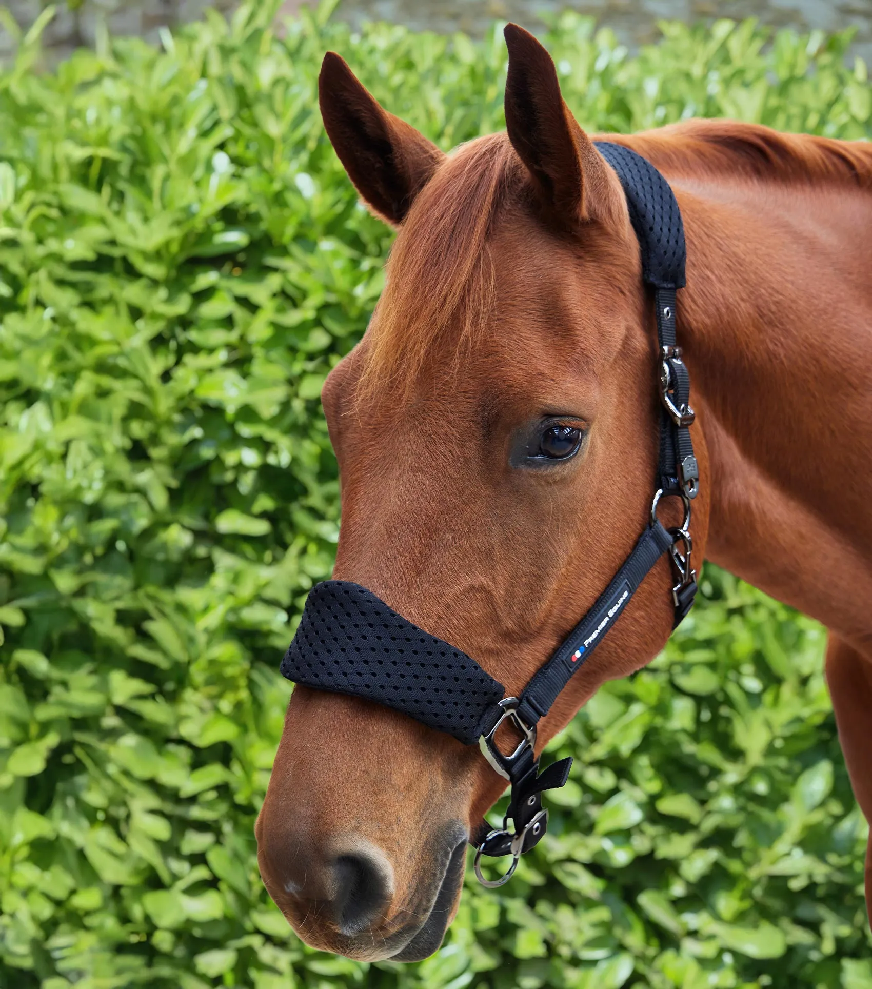 Necto 3D Mesh Head Collar with Lead Rope Black