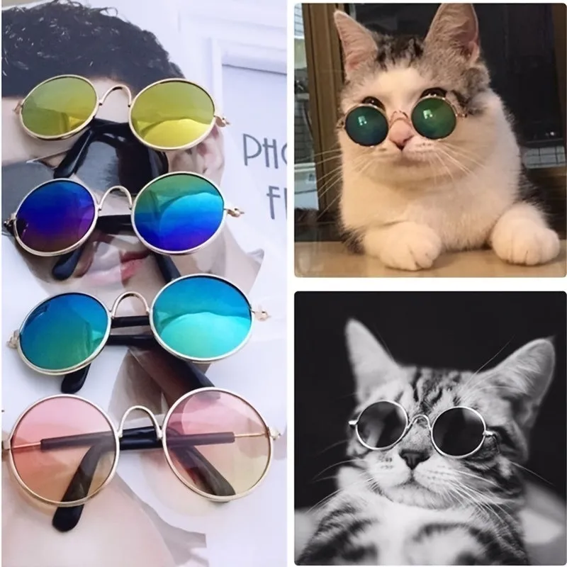 Pet Shades Keep Your Furry Friend Fashionable and Safe